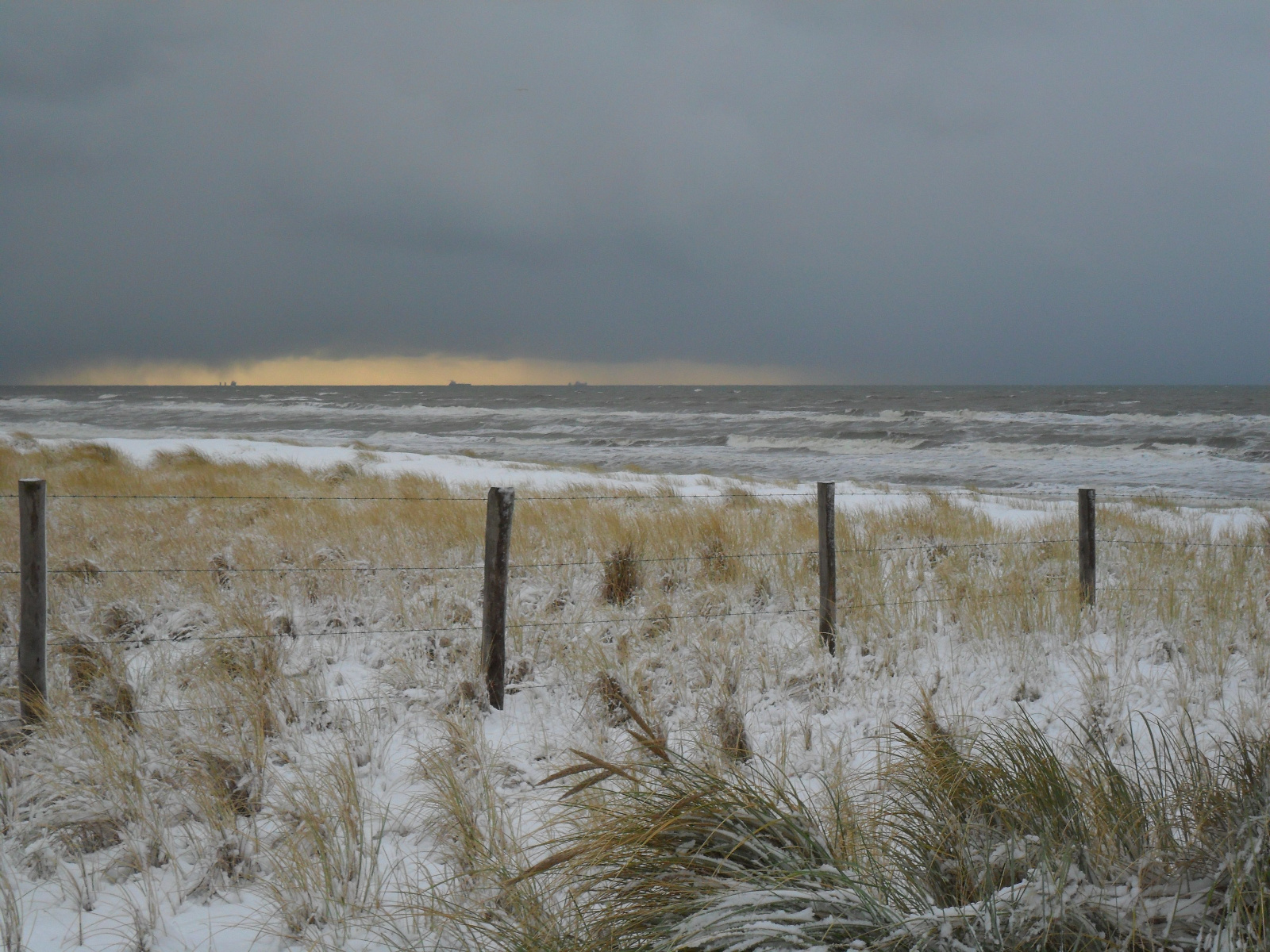 Duinen in de winter